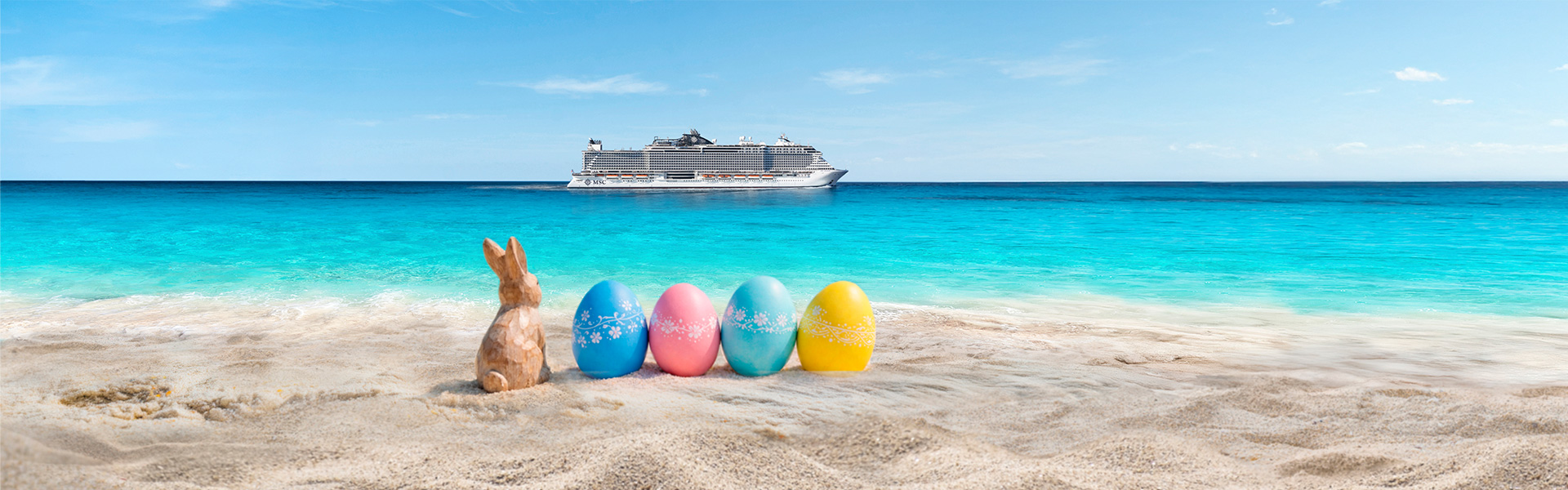 Aucune image disponible