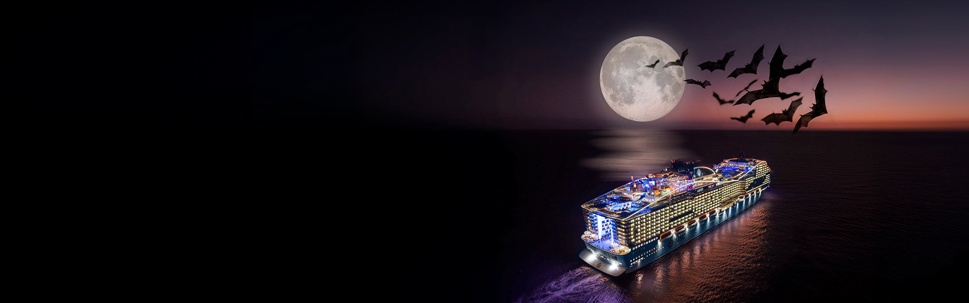 Aucune image disponible