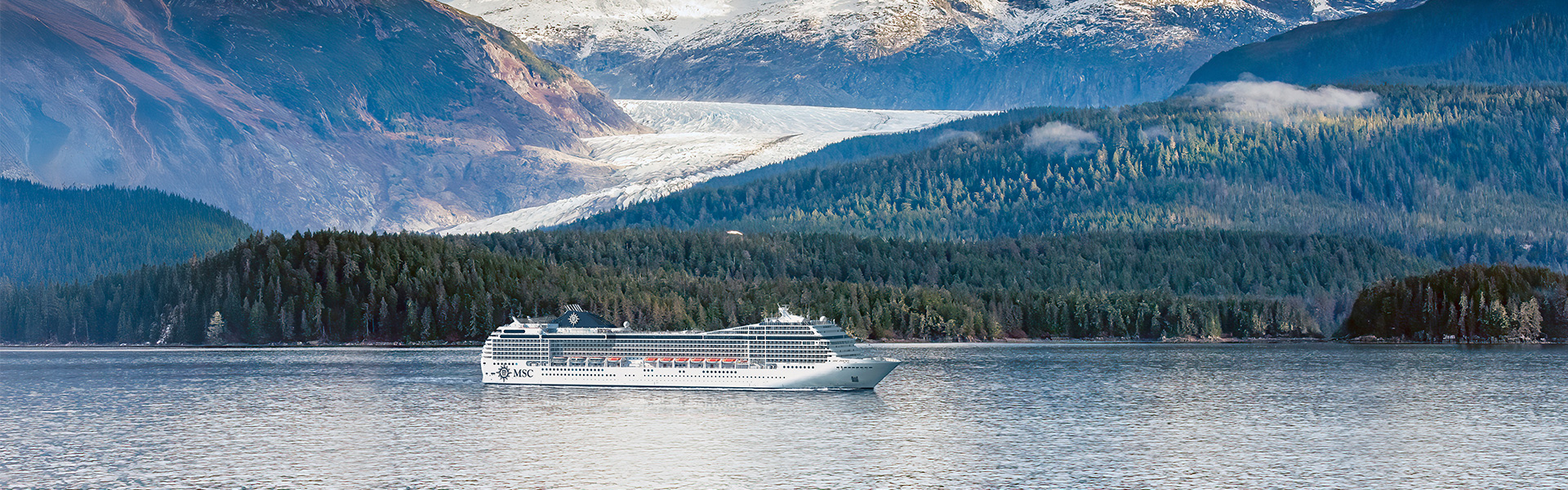 Aucune image disponible