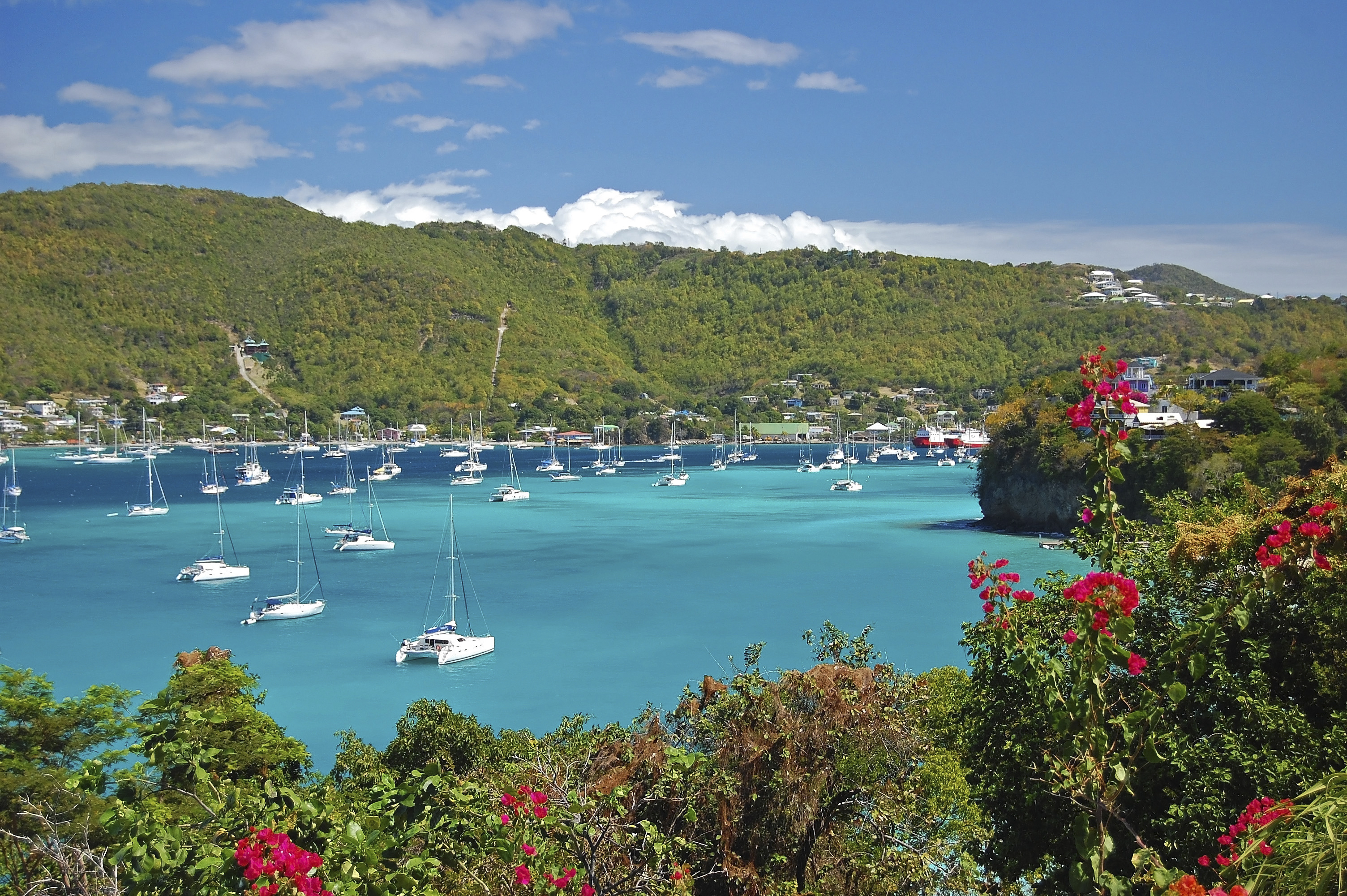 MSC VIRTUOSA - Antilles - CROISIÈRE AU DÉPART DE POINTE-À-PITRE (GUADELOUPE)
- 5